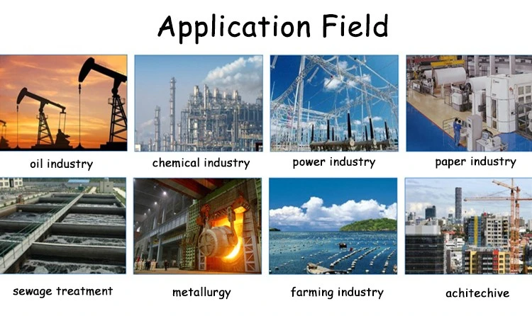 Cationic Polyacrylamide Flocculant for Effective Water Treatment (4)