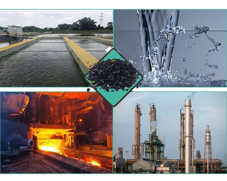 coconut shell activated carbon  (20)