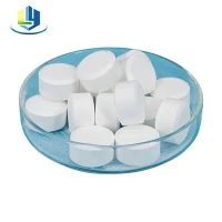 Trichlorisokyanuric Acid 20g Tablet 90% TCCA Dezinfekční prostředek