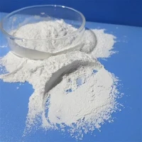 Nejlepší cena Bělící prášek Chlor Chemický 65% 70% Chlornan vápenatý