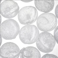 Úprava vody 1mm 3mm 6mm 10mm 20mm granulovaný siliphos polyfosfátový krystal RO kuličky proti vodnímu kameni